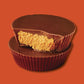 REESE'S Peanut Butter Cup Milk Chocolate Candy, 16 oz