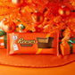 REESE'S Peanut Butter Cup Milk Chocolate Candy, 16 oz